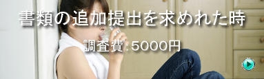 ビザ在留許可